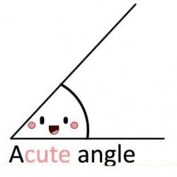 acuteangle